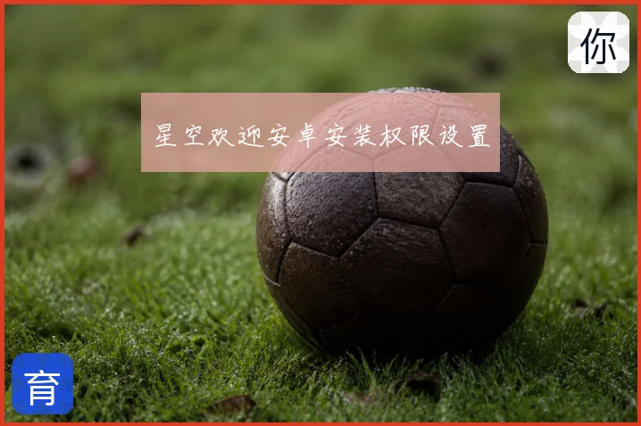 星空欢迎安卓安装权限设置